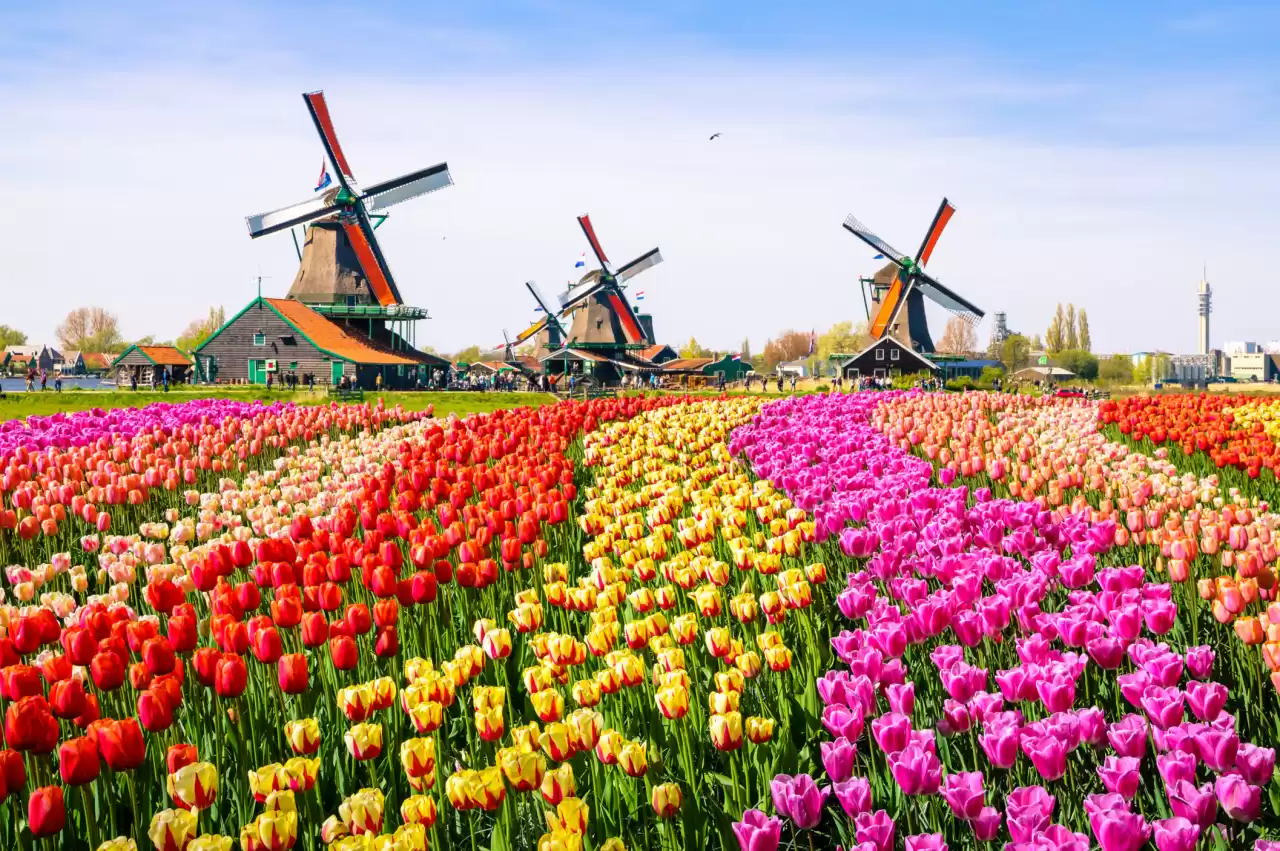 Netherlands