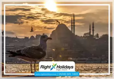 Top 10 Travel Destinations in Turkey